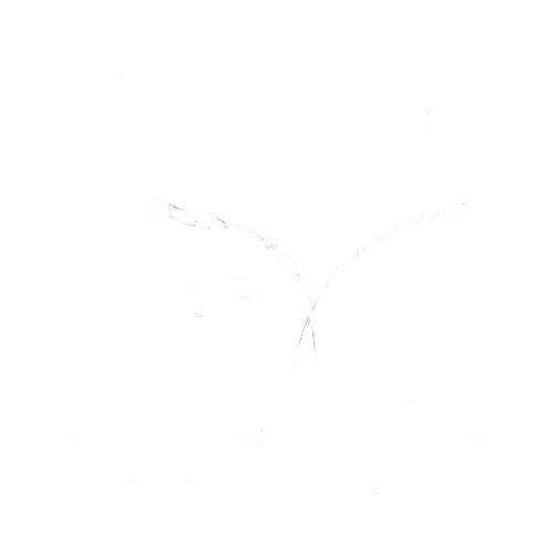 Traces Of Essence